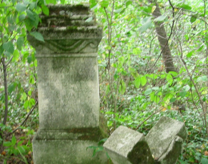 Nagrobek Franciszka Perhalskiego, cmentarz w Kowalówce, stan z 2007 r.