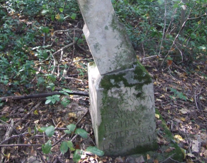 Nagrobek Franciszki Późniak, stan z 2007