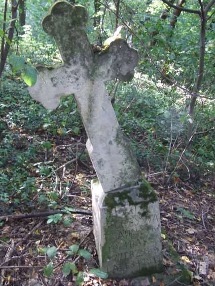 Nagrobek Franciszki Późniak, stan z 2007