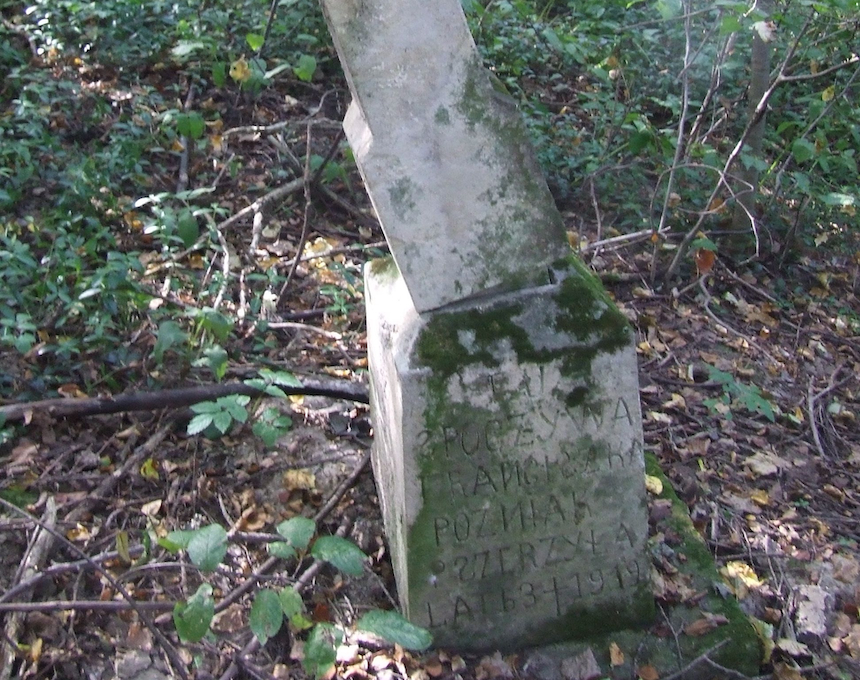 Fotografia przedstawiająca Nagrobek Franciszki Późniak
