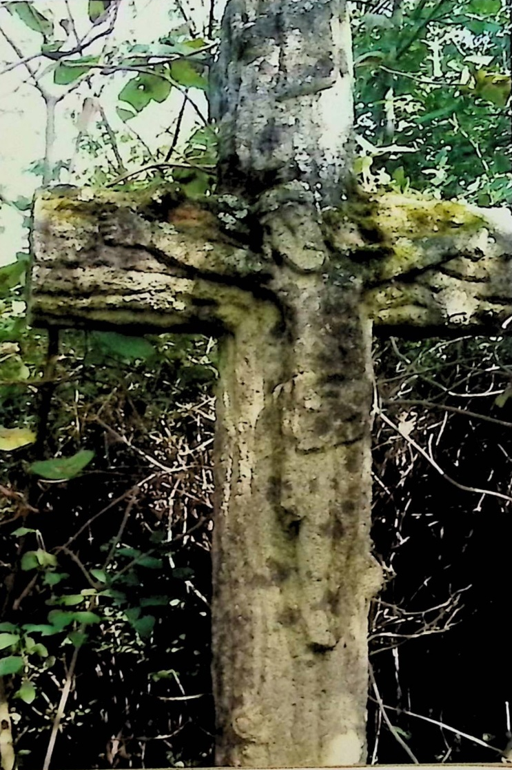 Photo montrant Tombstone of Anna Dzikowska