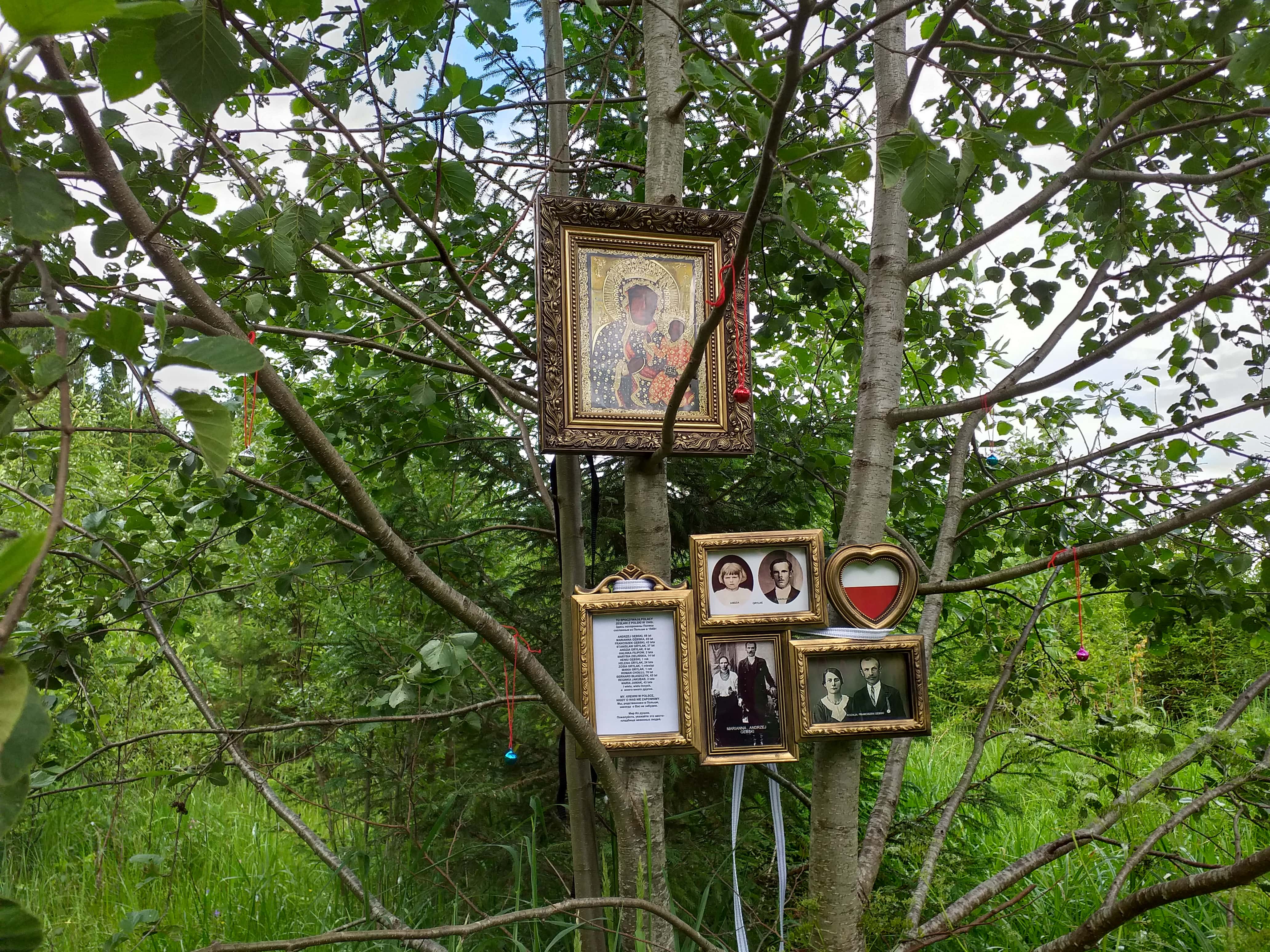 Photo montrant Commémoration des Polonais déportés au specposiol à Krutaya Osyp