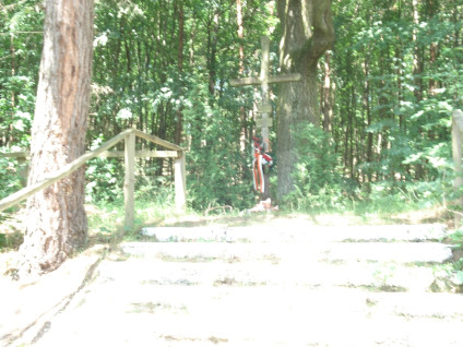 Drewniany krzyż z tabliczką w języku ukraińskim na leśnym cmentarzu koło Lelechówki, otoczony drzewami. Miejsce upamiętnia polskich, ukraińskich i węgierskich żołnierzy z wojen światowych.