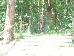 Drewniany krzyż z tabliczką w języku ukraińskim na leśnym cmentarzu koło Lelechówki, otoczony drzewami. Miejsce upamiętnia polskich, ukraińskich i węgierskich żołnierzy z wojen światowych.