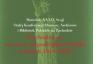 Fotografia przedstawiająca \"Emigration for an Independent Poland in the Years 1914-1920\" Materials from the 39th Permanent Conference of Polish Museums, Archives and Libraries in the West\" - publication of the Polonica Institute