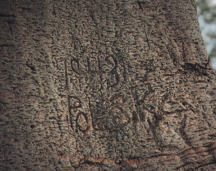 Альтернативний текст фотографії