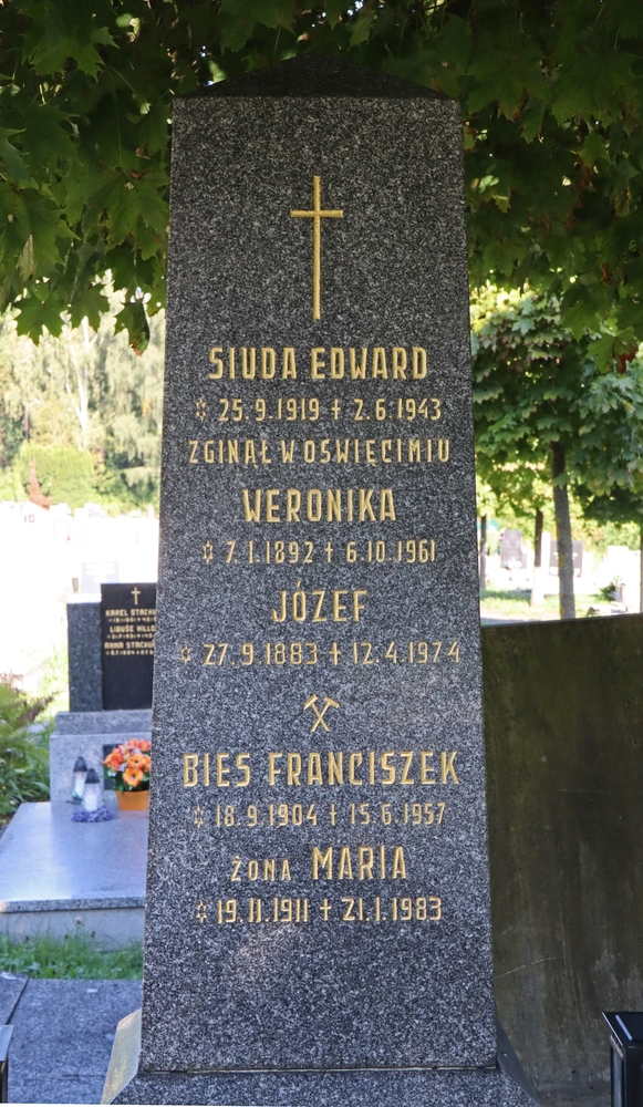 Fotografia przedstawiająca Tombstone of the Siuda and Bies families