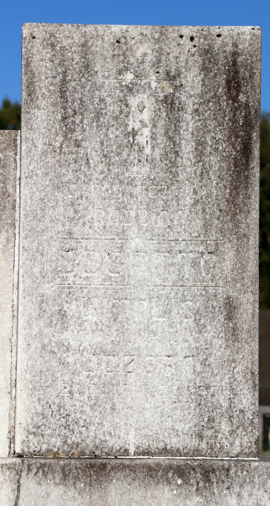 Fotografia przedstawiająca Segatt family tombstone