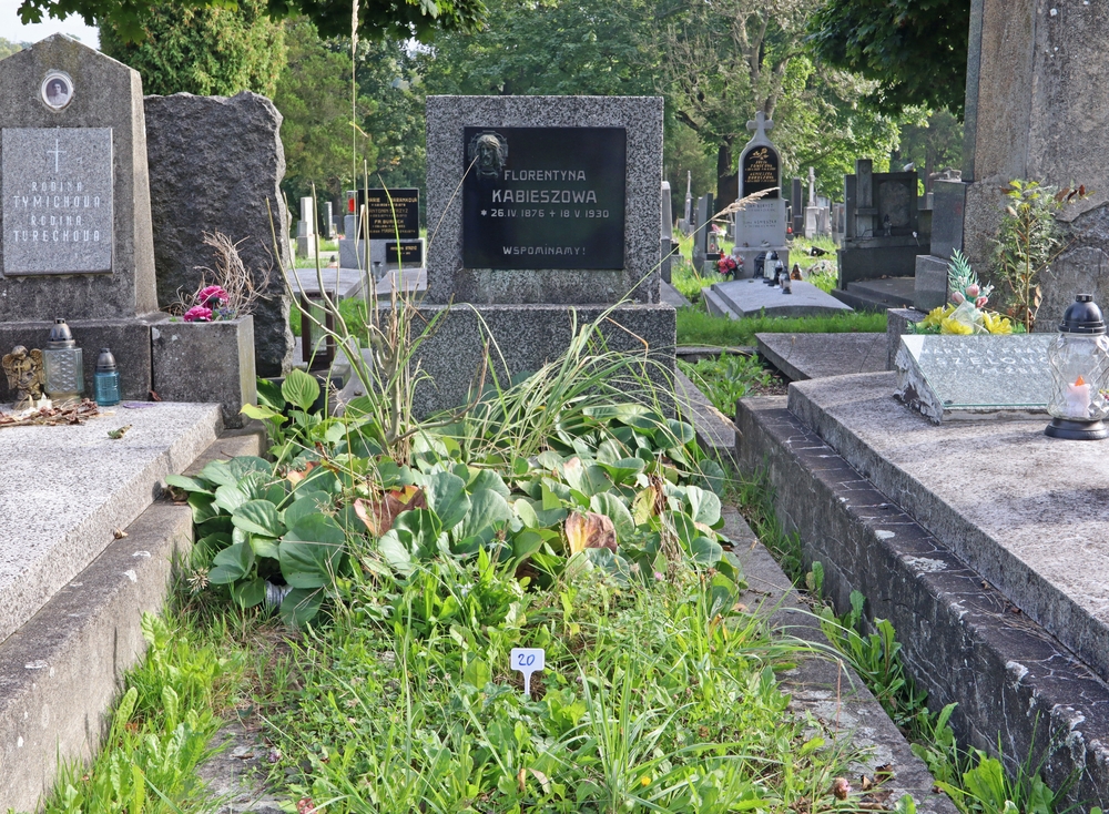 Photo montrant Tombstone of Florentyna Kabieszová