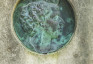 Photo montrant Tombstone of Ginette Neveu in the Père-Lachaise cemetery in Paris