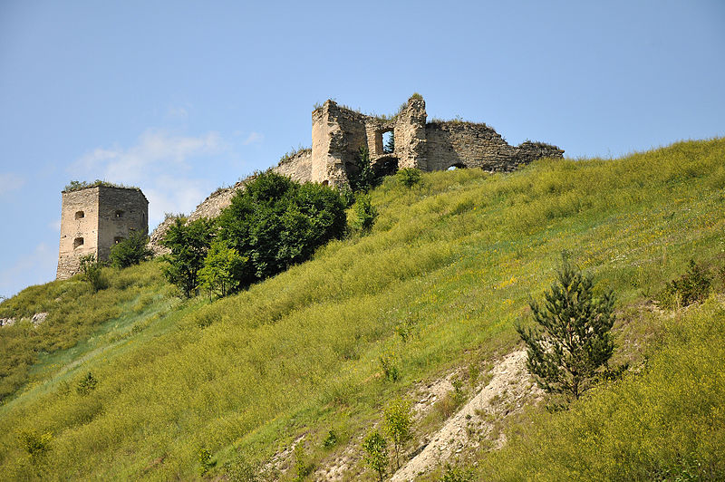 Fotografia przedstawiająca Kudrynytsia Castle