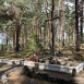 Fotografia przedstawiająca Cmentarz wojenny drugi (mniejszy) z walk pod Kostiuchnówką - tzw. „Bracka Mogiła”