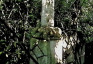 Fotografia przedstawiająca Tombstone of Marcin Kowalczuk