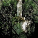 Fotografia przedstawiająca Tombstone of Marcin Kowalczuk