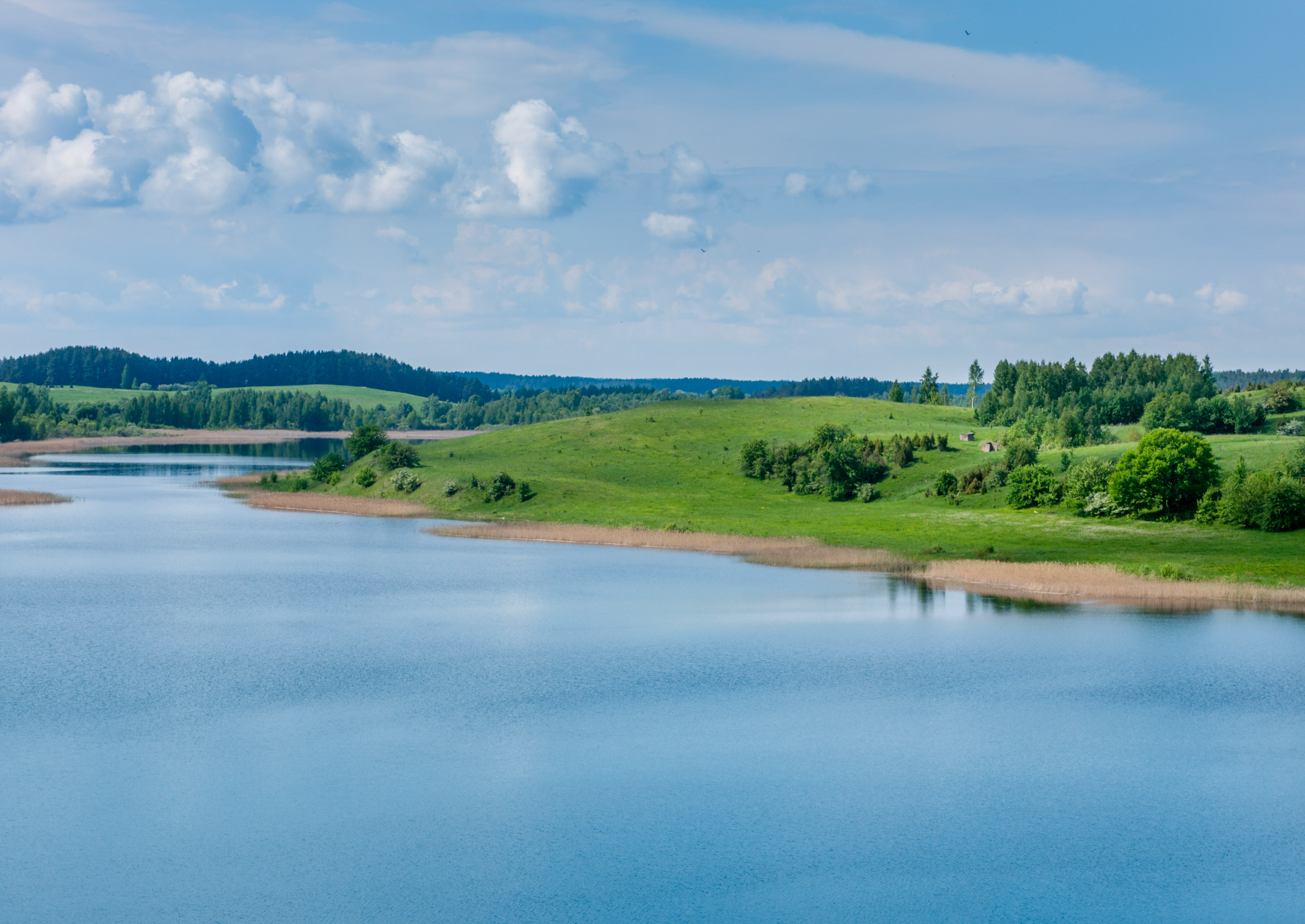 Альтернативний текст фотографії