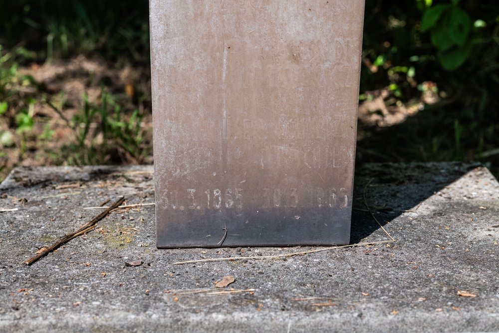 Photo montrant Monument to General Marian Langiewicz in Grenchen