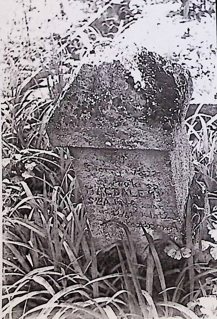 Fotografia przedstawiająca Tombstone of Magdalena Szajna