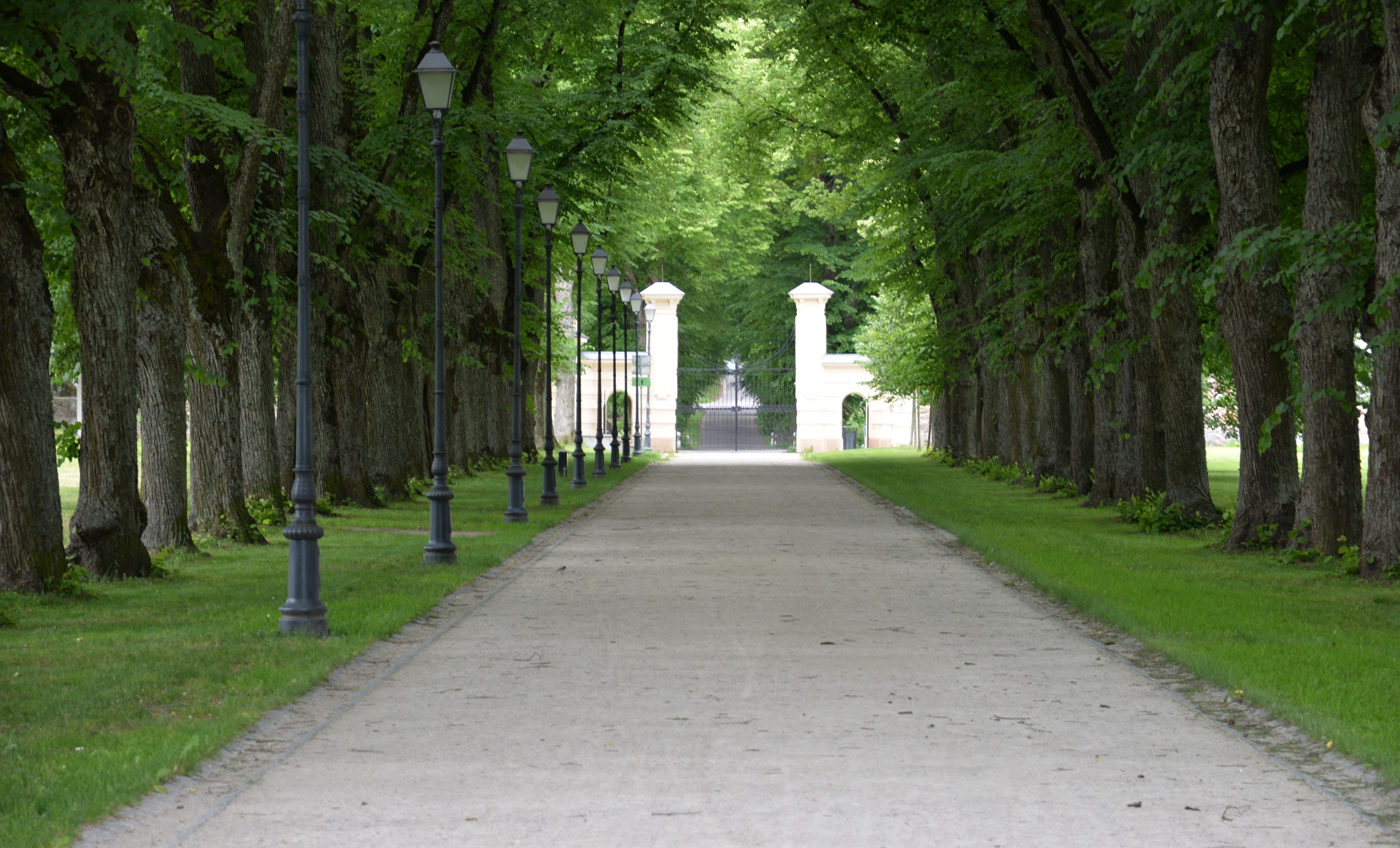 Fotografia przedstawiająca Tiškevičius Palace in Trakai Voca