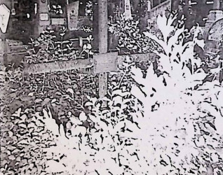 Krzyż żeliwny z rurek oznacza grób, na przecięciu ramion tabliczka ołowiana z inskrypcją. Widoczna otaczająca roślinność.