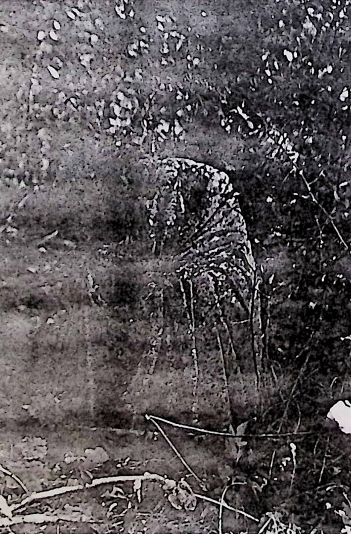 Fotografia przedstawiająca Tombstone N.N.