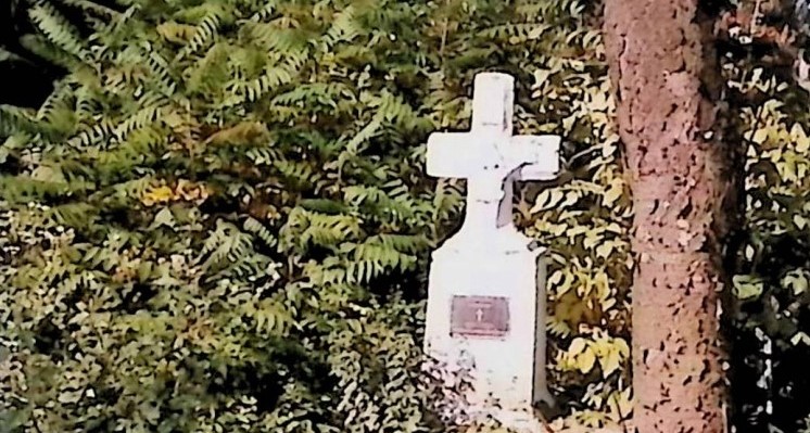 Fotografia przedstawiająca Tombstone of Alexander Bednarowski