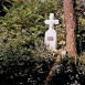 Fotografia przedstawiająca Tombstone of Alexander Bednarowski