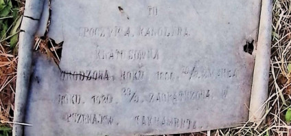 Zniszczony nagrobek Karoliny Kratusowej z zachowaną metalową tablicą z rytą inskrypcją. Tablica otoczona trawą, widoczne ślady zużycia.
