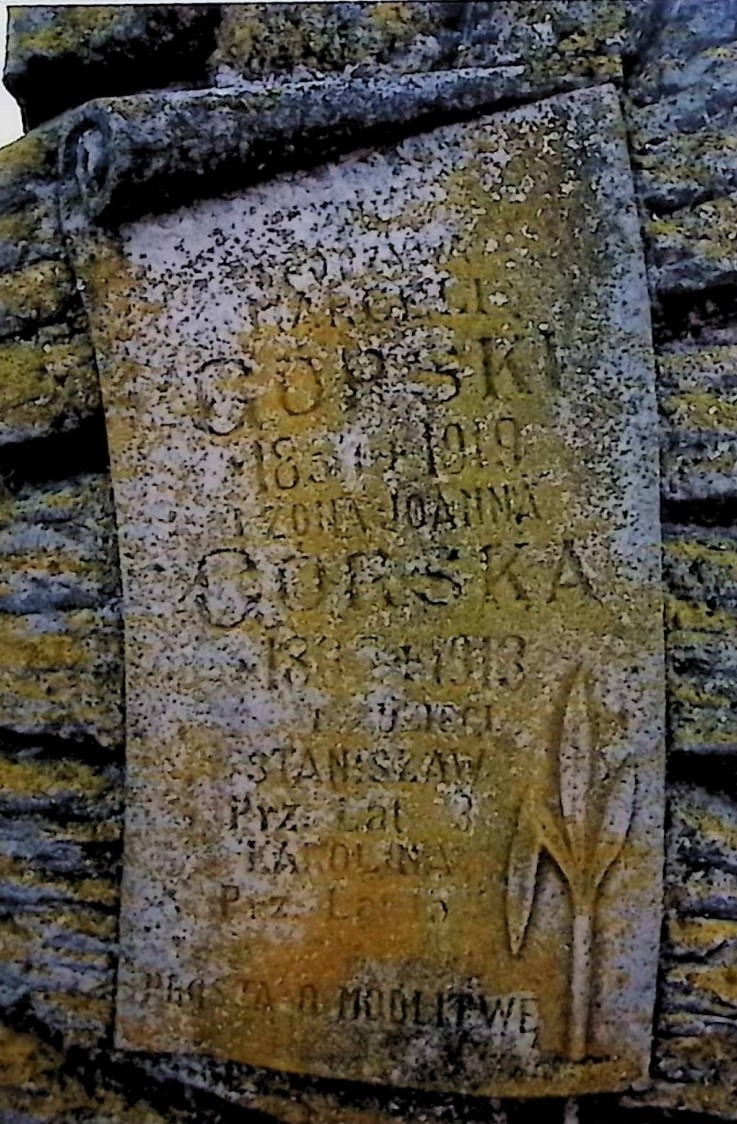 Fotografia przedstawiająca Tombstone of the Bilinski and Gorski families