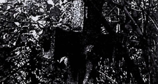 Nagrobek Antoniny Kisielewskiej z krzyżem na cokole. Krzyż z płaskorzeźbą Chrystusa Ukrzyżowanego, titulusem i czaszką ze skrzyżowanymi piszczelami. Ramiona krzyża rozszerzają się na końcach, zakończone guzami. Cokół prosty z rytym napisem.