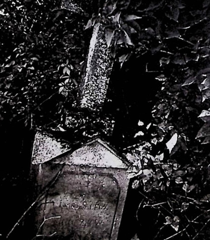 Nagrobek Jana Nałęcza Mroczkowskiego z krzyżem na cokole, otoczony liśćmi. Na cokole inskrypcja w prostokątnej ramce o łukowatych górnych rogach.