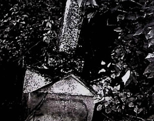 Nagrobek Jana Nałęcza Mroczkowskiego z krzyżem na cokole, otoczony liśćmi. Na cokole inskrypcja w prostokątnej ramce o łukowatych górnych rogach.