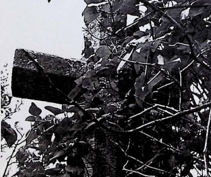 Kamienny krzyż częściowo zasłonięty gęstym listowiem, z widoczną fakturą powierzchni i kanciastymi krawędziami.