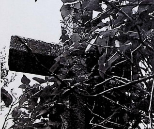 Kamienny krzyż częściowo zasłonięty gęstym listowiem, z widoczną fakturą powierzchni i kanciastymi krawędziami.