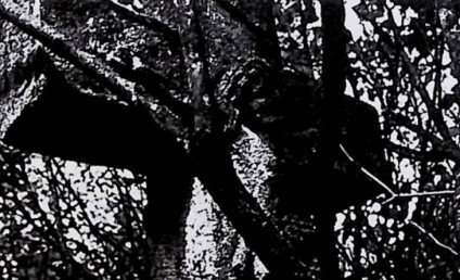 Nagrobek z krzyżem na cokole. Cokół ma profilowaną górną krawędź z wyrytą inskrypcją. Chrystus na przecięciu ramion krzyża, nad nim titulus, a pod stopami data 1868.