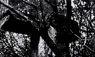 Nagrobek z krzyżem na cokole. Cokół ma profilowaną górną krawędź z wyrytą inskrypcją. Chrystus na przecięciu ramion krzyża, nad nim titulus, a pod stopami data 1868.