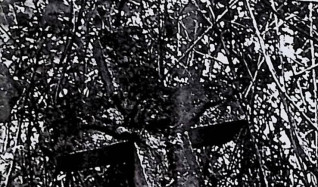 Nagrobek Stefanii Wierzbickiej z krzyżem na cokole. Krzyż ma guzki na końcach i płaskorzeźbę Ukrzyżowanego Chrystusa. Cokół prosty z profilowanym zwieńczeniem i inskrypcją.