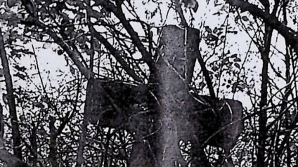 Kamienny krzyż z ułamaną dolną częścią, otoczony gęstymi gałęziami. Ramiona krzyża zakończone ostrosłupami, na skrzyżowaniu Chrystus i titulus.