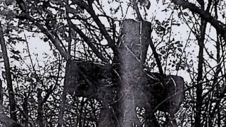 Kamienny krzyż z ułamaną dolną częścią, otoczony gęstymi gałęziami. Ramiona krzyża zakończone ostrosłupami, na skrzyżowaniu Chrystus i titulus.