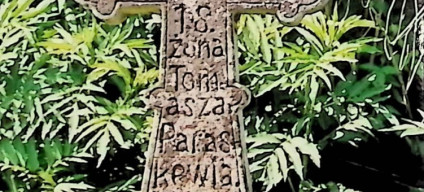Kamienny krzyż z trójliściowymi zakończeniami i rozetami, z inskrypcją dla Paraskewii, żony Tomasza, otoczony roślinnością.