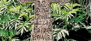 Kamienny krzyż z trójliściowymi zakończeniami i rozetami, z inskrypcją dla Paraskewii, żony Tomasza, otoczony roślinnością.