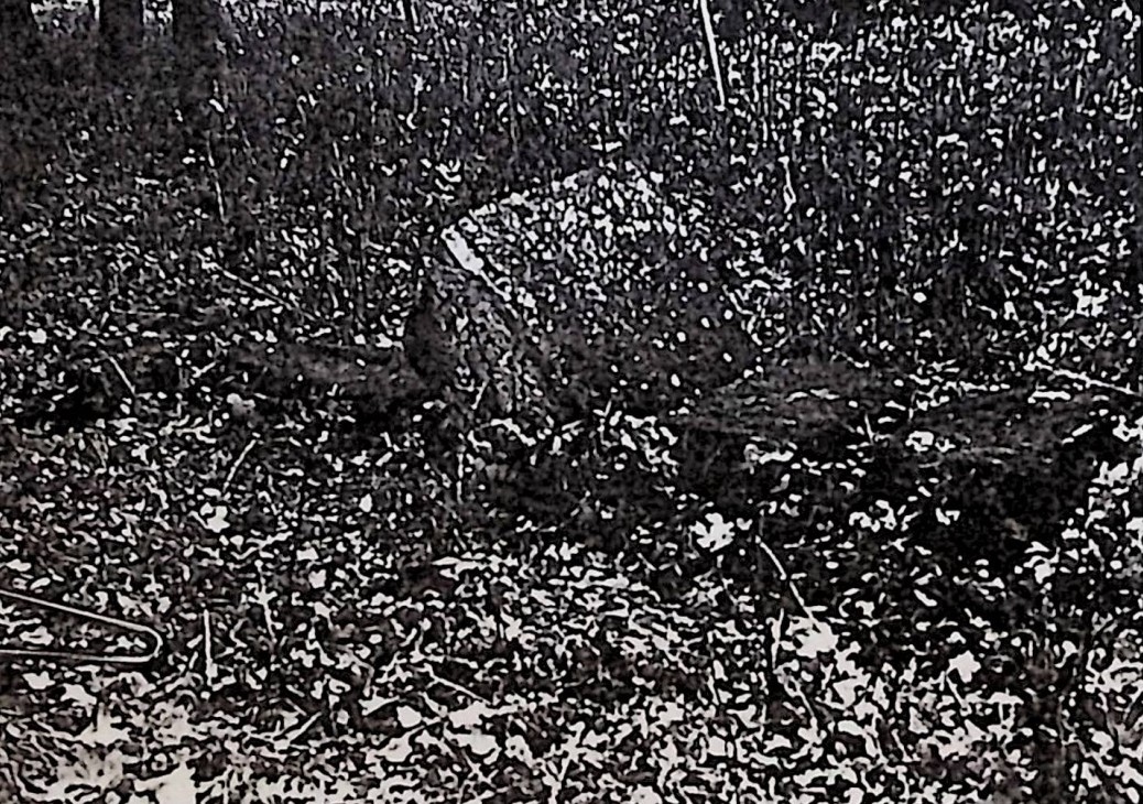 Fotografia przedstawiająca Tombstone or foundation cross