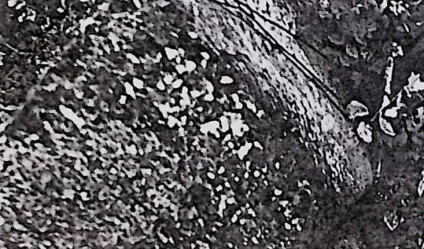 Wysoki krzyż na cokole z trzonem zwężającym się ku górze. Na belkach krzyża głęboka płycina w kształcie krzyża. Dolna część pionowej belki rozszerza się ku dołowi z inskrypcją. Na trzonie wyryta data 1855.