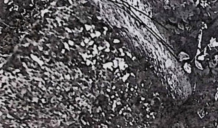 Wysoki krzyż na cokole z trzonem zwężającym się ku górze. Na belkach krzyża głęboka płycina w kształcie krzyża. Dolna część pionowej belki rozszerza się ku dołowi z inskrypcją. Na trzonie wyryta data 1855.