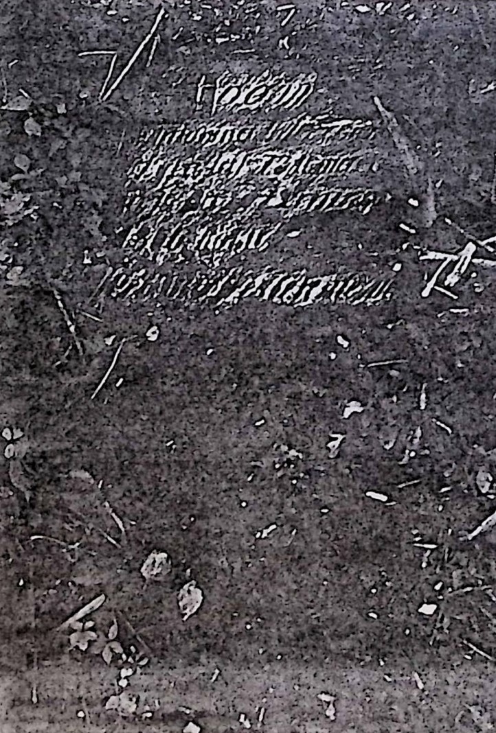 Fotografia przedstawiająca Tombstone of Antonina Wi[...]icka