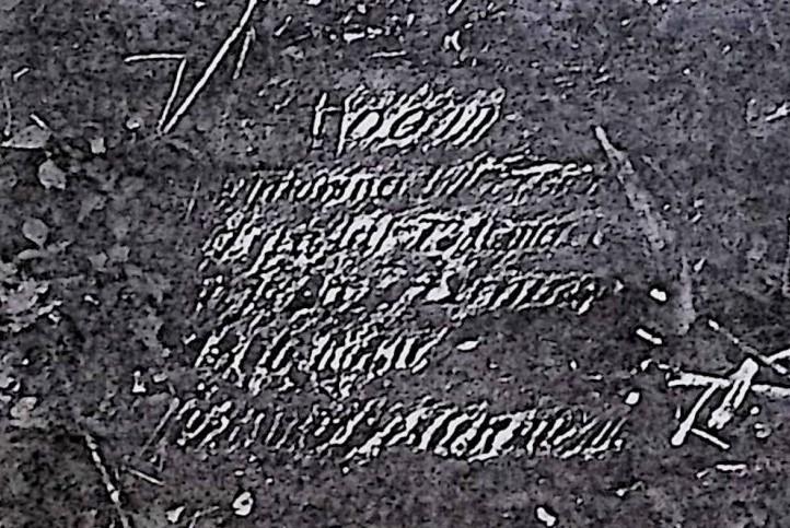 Fotografia przedstawiająca Tombstone of Antonina Wi[...]icka