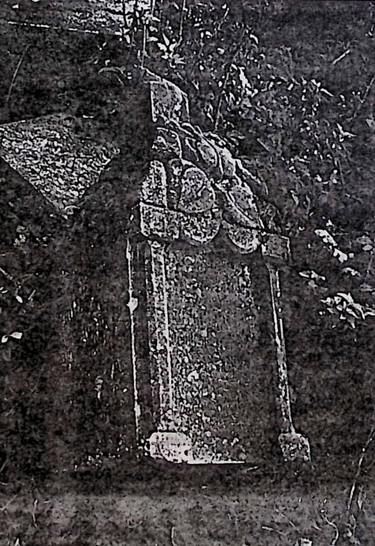 Fotografia przedstawiająca Eugenia Waknig\'s gravestone