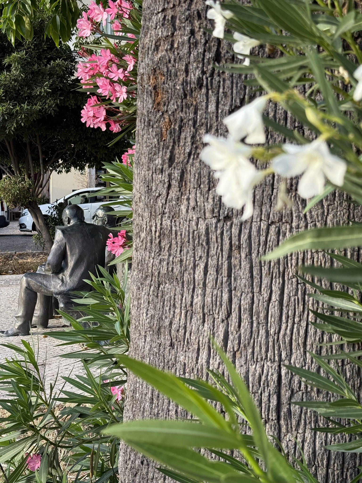 Альтернативний текст фотографії