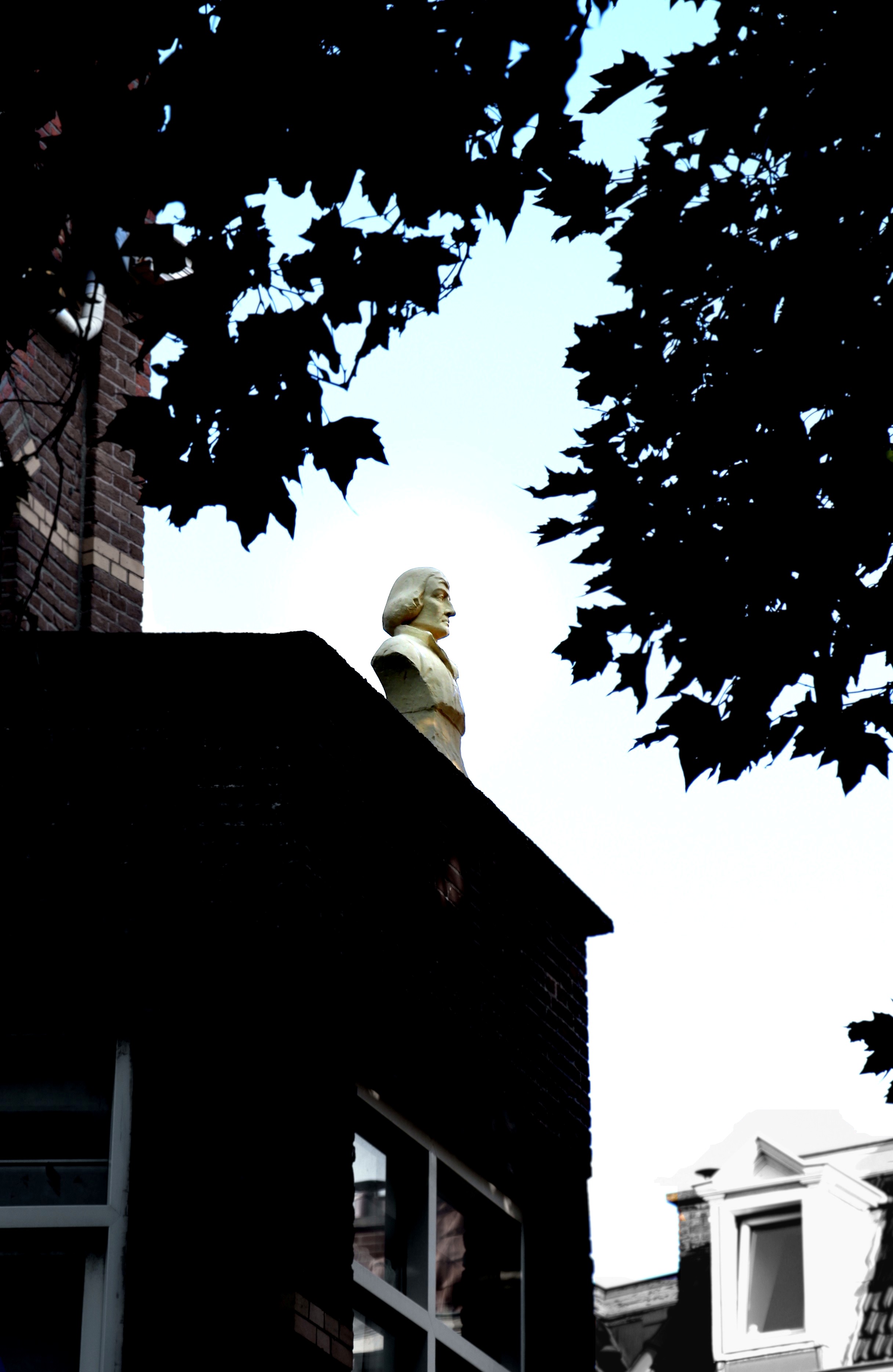 Fotografia przedstawiająca Bust of Nicolaus Copernicus in The Hague