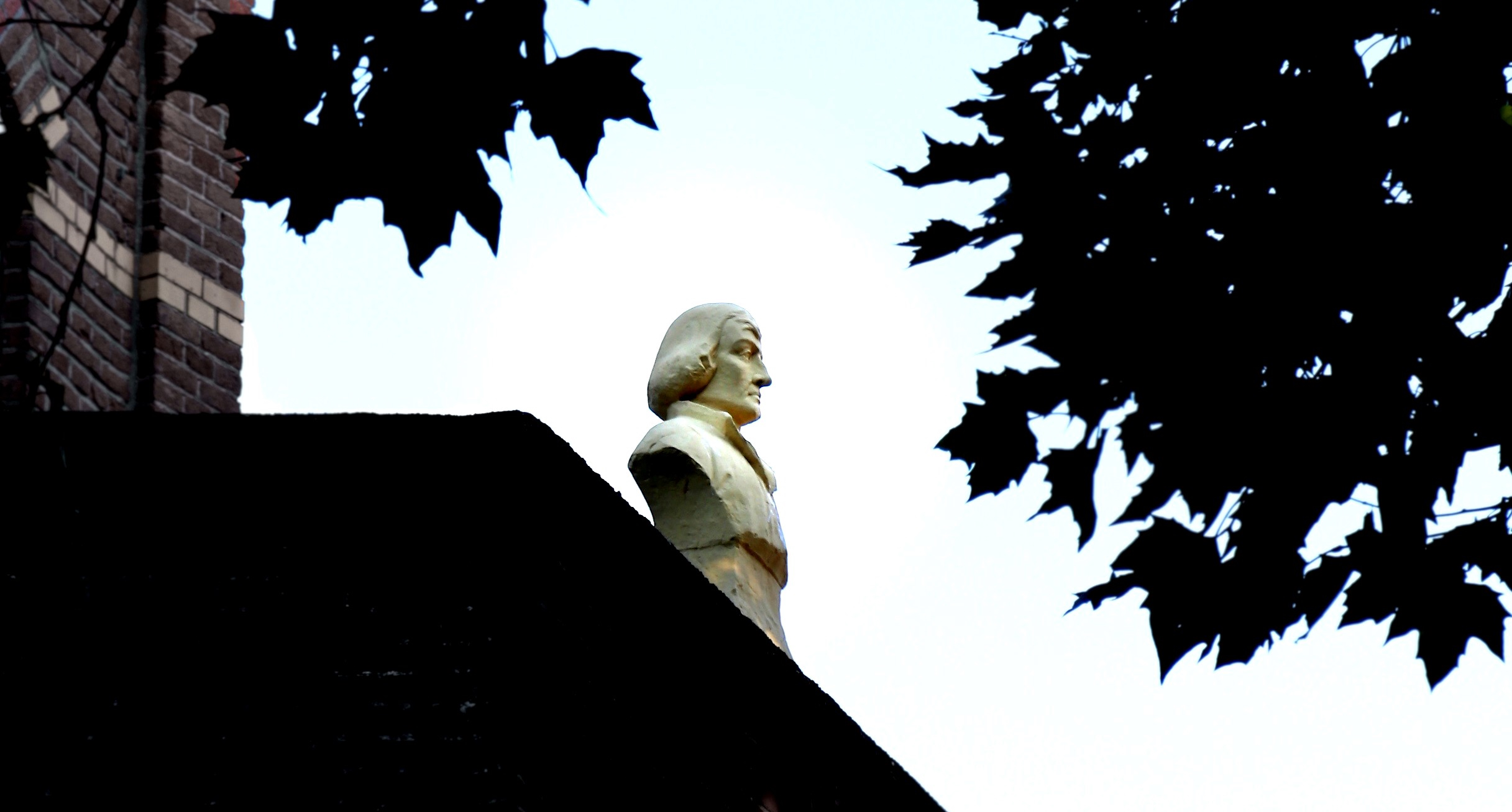 Fotografia przedstawiająca Bust of Nicolaus Copernicus in The Hague