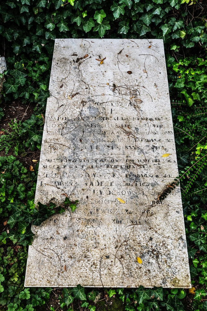 Fotografia przedstawiająca Silhfeld cemetery